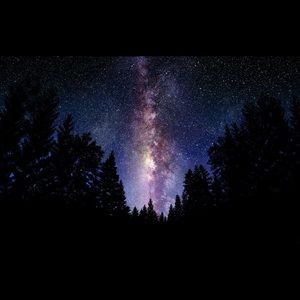 Meet your Posher, Rusul